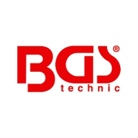 BGS TECHNIC KG