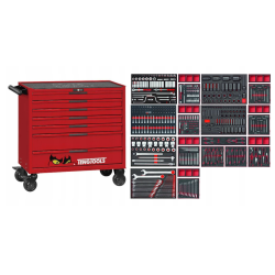 TENGTOOLS TRUCK 542 WÓZEK NARZĘDZIOWY Z WYPOSAŻENIEM